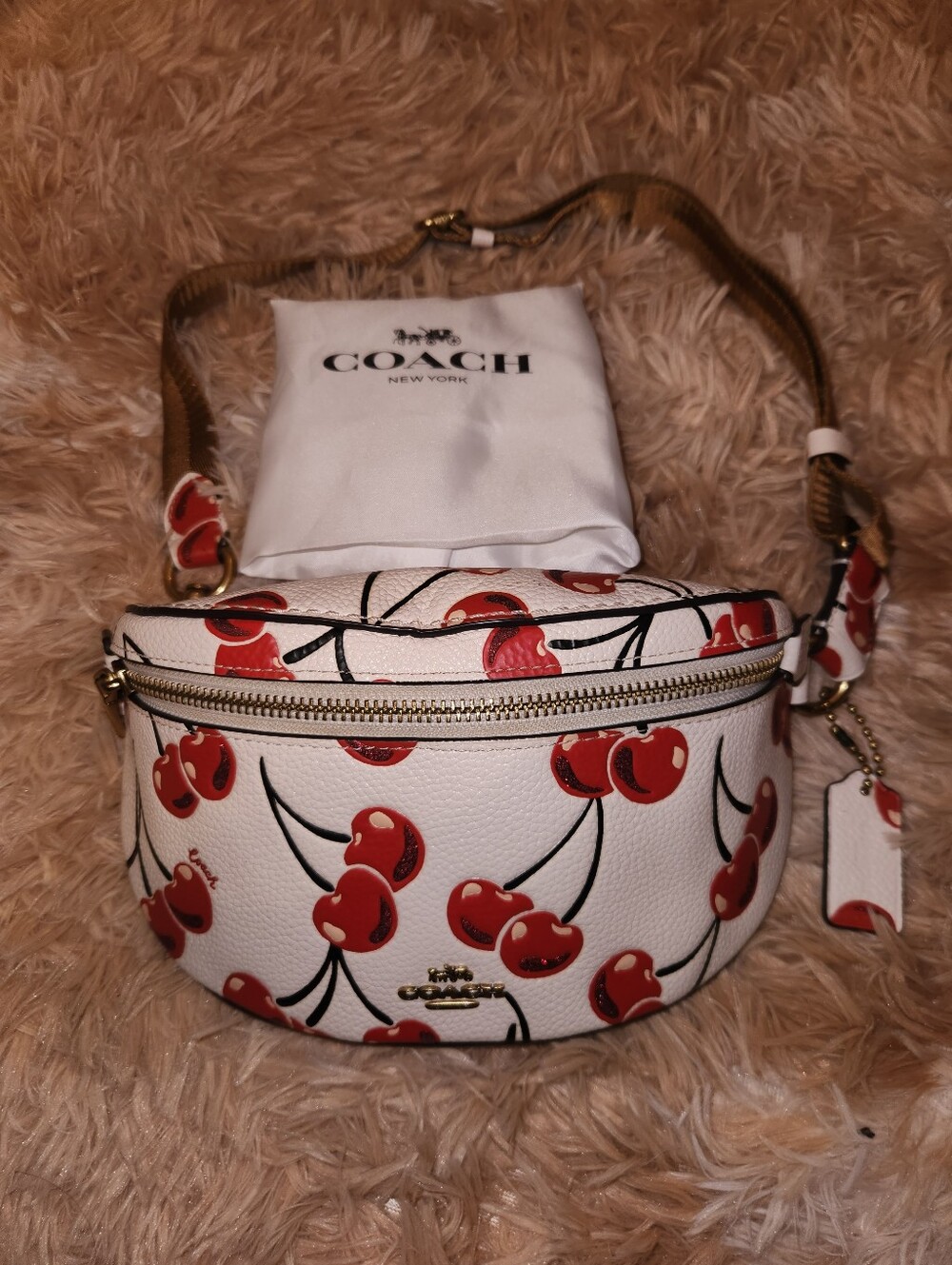 Coach☆ Leather Cherry Print Crossbody/ Belt Bag - Picture 4 of 11